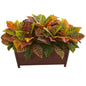 Croton Artificial Plant in Decorative Planter (Real Touch)