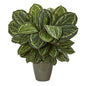 25" Maranta Artificial Plant in Decorative Planter