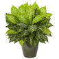 20" Dieffenbachia Artificial Plant in Green Planter