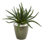 19" Aloe Artificial Plant in Decorative Planter