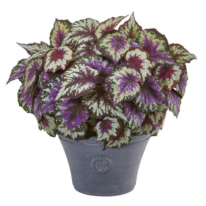 22" Begonia Artificial Plant in Gray Planter