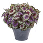22" Begonia Artificial Plant in Gray Planter