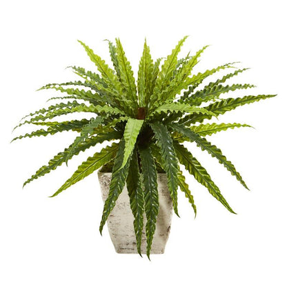 24" Asplenium Artificial Plant in Country White Planter