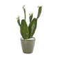 25" Flowering Cactus Artificial Plant in Green Planter