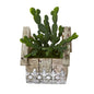 10" Cactus Succulent Artificial Plant in Hanging Floral Design House Planter