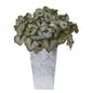 14" Rex Begonia Artificial Plant in Planter
