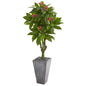 5.5'Plumeria Artificial Tree in Gray Planter UV Resistant (Indoor/Outdoor)