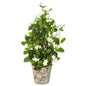 25" Stephanotis Artificial Climbing Plant in Weathered Planter
