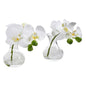Phalaenopsis Orchid Artificial Arrangement in Vase (Set of 2)