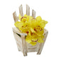 Cymbidium Orchid Artificial Arrangement in Chair Planter