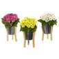 11" Daisy Artificial Arrangement in Tin Vase (Set of 3)