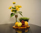 Chris Craft Oval Tray